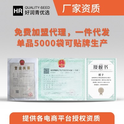 源头厂家批发大白菜种子大全秋季娃娃菜种籽包菜鸡蛋黄火凤凰种孑图3