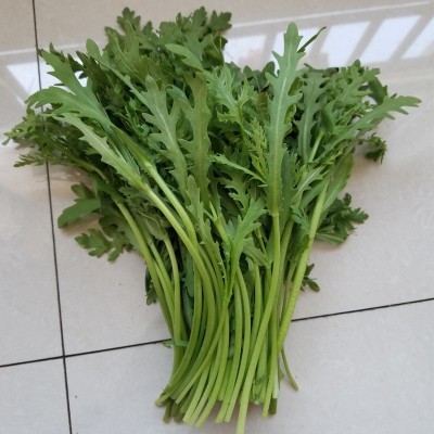 小叶茼蒿种子皇帝菜种籽光杆蒿子秆四季播阳台盆栽庭院蔬菜种子图4