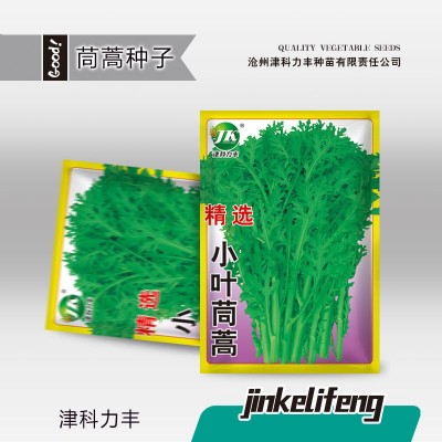 小叶茼蒿种子皇帝菜种籽光杆蒿子秆四季播阳台盆栽庭院蔬菜种子图2