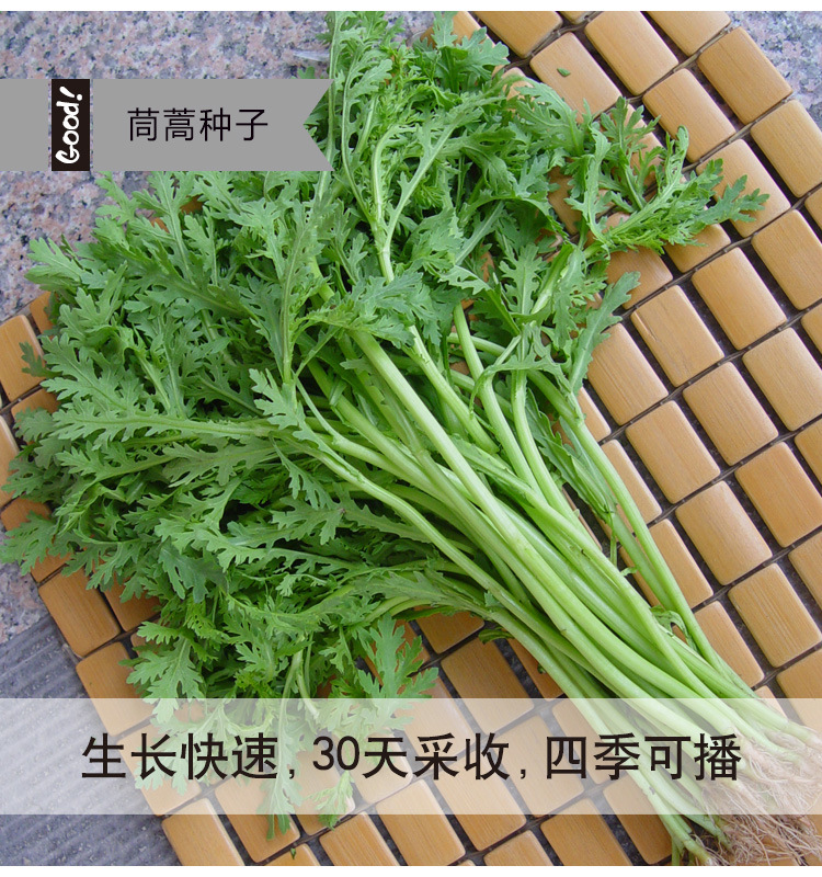 茼蒿03-3