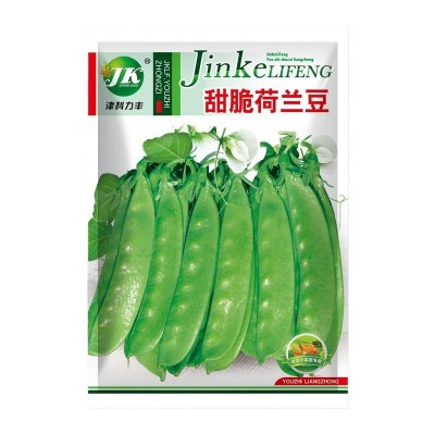 荷兰豆种子甜脆大荚春秋种植蔬菜种籽菜豌豆菜籽种易种无纤维图4