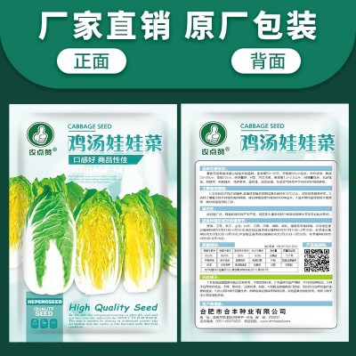 鸡汤娃娃菜种子四季黄心白菜新鲜快菜青菜白菜籽家庭耐寒蔬菜种子图2