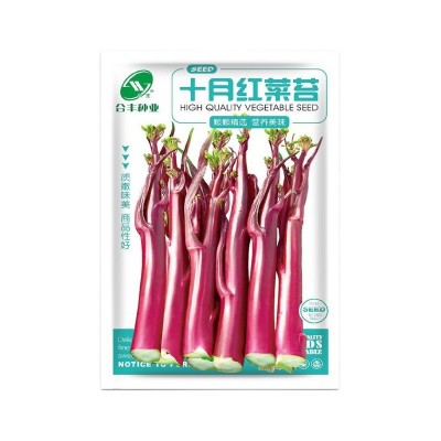 十月红菜苔种子红菜心种籽菜芯种孑广东红菜心籽种蔬菜籽厂家批发图5