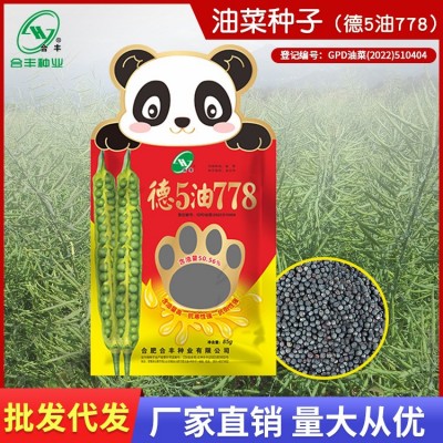 德5油778油菜籽种子出油多矮杆油菜籽种籽耐寒抗倒正品油菜籽批发