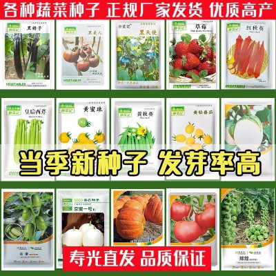 农家菜园蔬菜种子四季种子白菜萝卜辣椒西红柿青菜种子大全厂家批图3