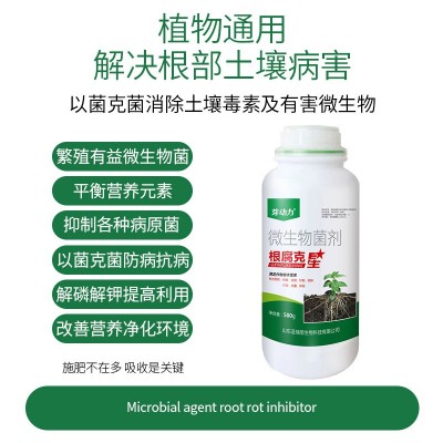 芽动力根腐克星预防根腐少根弱根生根壮苗有效改善疏松土壤增产图2