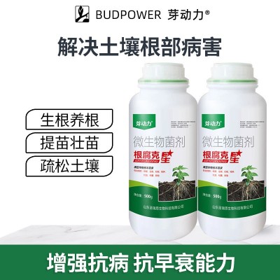 芽动力根腐克星预防根腐少根弱根生根壮苗有效改善疏松土壤增产