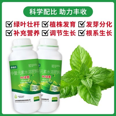 芽动力叶绿素氨基酸中量元素水溶肥 果蔬叶片增绿增厚营养液现货图3