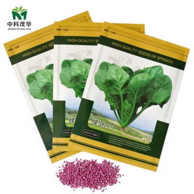 中科茂华蔬菜种子绿剑菠菜种子大厚叶深绿菠菜籽耐寒200克/袋图2