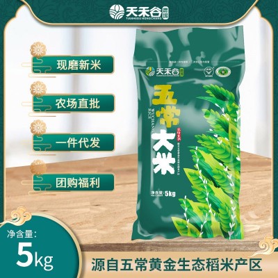 五常大米批发 新米10斤长粒稻花香米大米5kg 东北大米