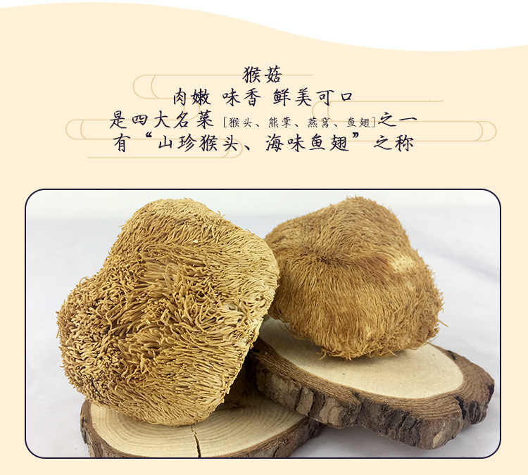 白盒猴头_06.jpg