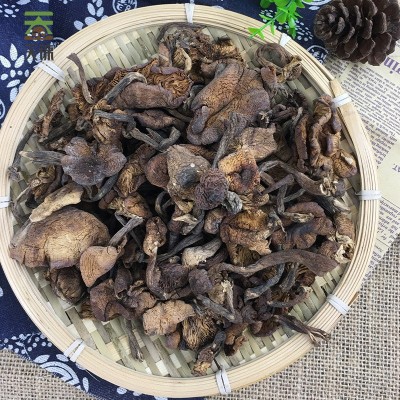 天锦山水袋有机榛蘑150g东北榛蘑大兴安岭菌菇干货厂家批发图2