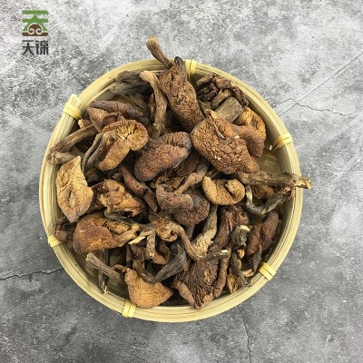 天锦山水袋有机榛蘑150g东北榛蘑大兴安岭菌菇干货厂家批发图4