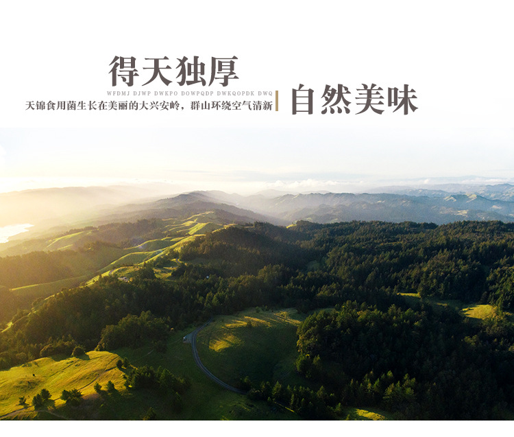 山水-有机榛蘑_07.jpg