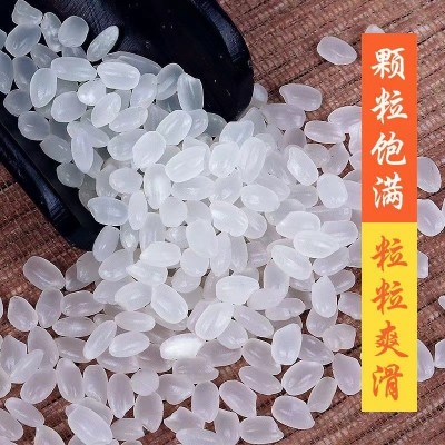 【东北珍珠米20斤】新珍珠米10kg香甜可口新民特产大米20斤图4
