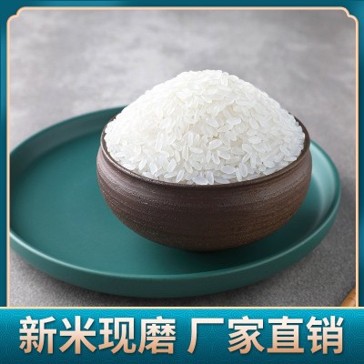 当季新米现货零售批发谷鲜原原粮稻香米2号东北大米一件代发20斤图4