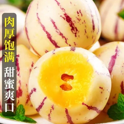 云南石林人参果大果新鲜人叁果水果七彩黄肉圆果人生果包邮直发图2
