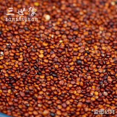 新货批发国产红藜麦米 厂家销售五谷杂粮原料散装