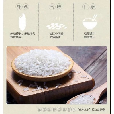 金龙鱼精选珍珠米5KG美滋滋长粒香米家用南方大米10斤装东北团购图4