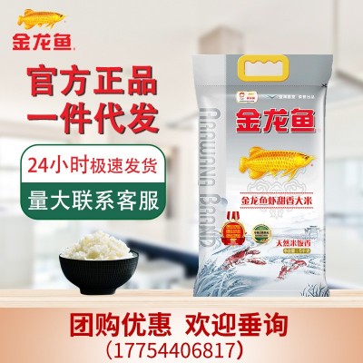 金龙鱼精选珍珠米5KG美滋滋长粒香米家用南方大米10斤装东北团购图3