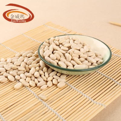 【颗粒饱满】金威玛白沙克豆大白豆白芸豆 月饼馅料原料现货直发图3