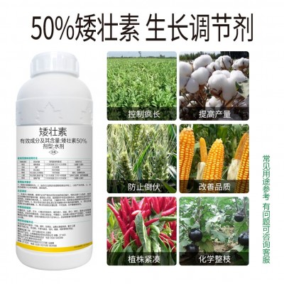 厂家直销50%矮壮素调节生长防疯长抗倒伏控旺增产矮壮植株农药批图3