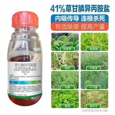 41%草甘膦异丙胺盐除草剂烂根死根正品厂家直销图2