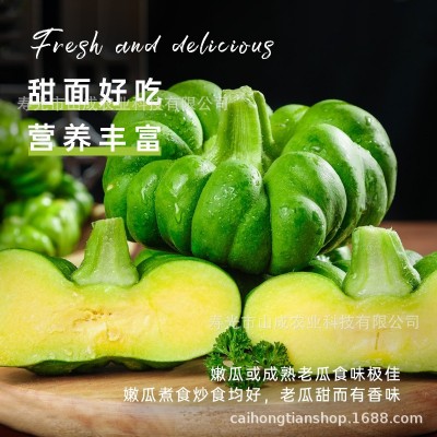 云南姜柄瓜种子甜面小南瓜蔬菜种籽高产春秋季丫丫瓜蔬菜种孑大全图4