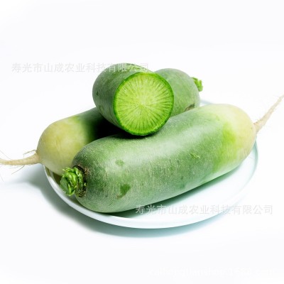 珍翠水果萝卜种子三系杂交青萝卜种籽秋播大田种植蔬菜种孑子大全图5