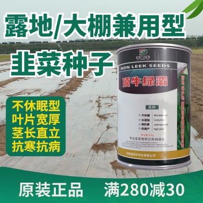 牛顶牛绿灞韭菜种子原装冬季不休眠韭菜籽抗病高产大棚露地韭菜品图2