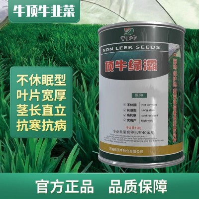 牛顶牛绿灞韭菜种子原装冬季不休眠韭菜籽抗病高产大棚露地韭菜品图3