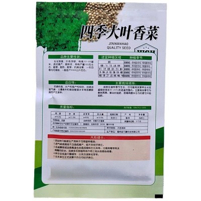 四季大叶香菜种子盆栽蔬菜种子抗高温高发芽抗病大叶芫荽种子袋装图4