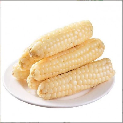 云南西双版纳拇指玉米即食早餐代餐新鲜傣家甜香糯迷你手指小玉米图5