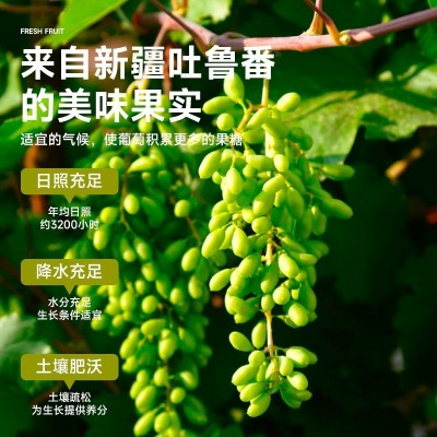 新疆葡萄干现货批发整箱散装20斤休闲零食甜品辅料冷饮配料果干图4