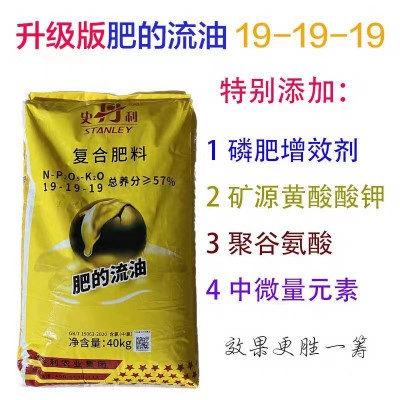 史丹利金三安肥的流油正品19-19-19高浓度复合肥通用型复合肥花卉