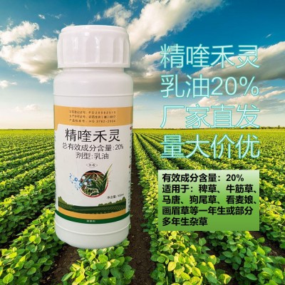 20%精喹禾灵杀虫花生大豆田红薯一年生杂草除草剂娄农真神100ml
