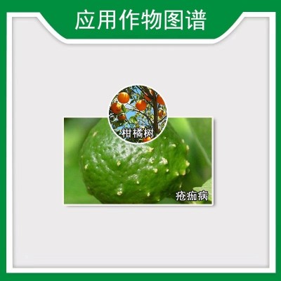 UPL进口卫纯80%代森锰锌全络合炭疽疮痂高效广谱果蔬农药杀菌剂图4