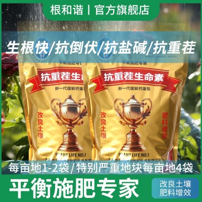 有机蔬菜种植微生物菌剂 蔬菜有机肥料菌肥抗重茬促生长状根旺苗图3