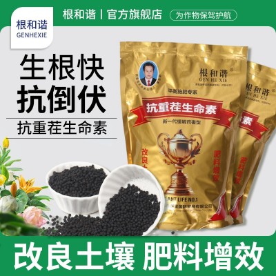 有机蔬菜种植微生物菌剂 蔬菜有机肥料菌肥抗重茬促生长状根旺苗图2
