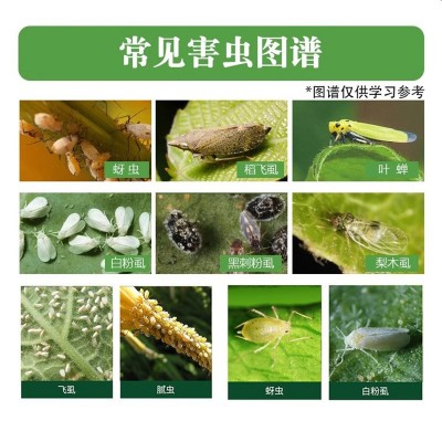15%氟啶虫酰胺先胺联苯菊酯果树蚜虫腻虫介壳虫农药农用药杀虫剂图3