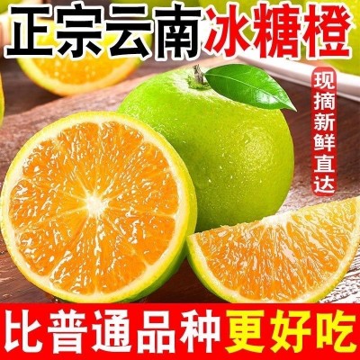 哀牢山冰糖橙云南橙子新鲜褚橙当季果冻橙水果非爱媛橙代发包邮图3