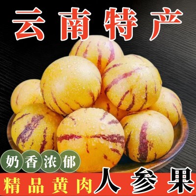 云南石林奶香人参果黄肉圆果树上熟低糖10斤礼盒精品大果一件代发图2