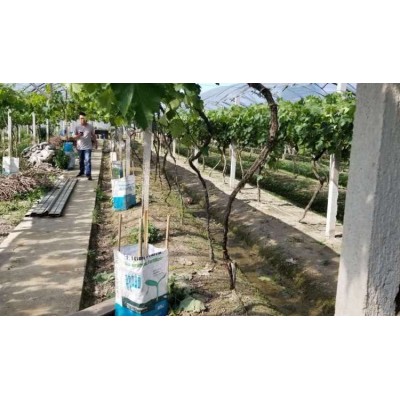 峰彩富含氨基酸的生物菌，厂家直供有机肥，效果有保障图5