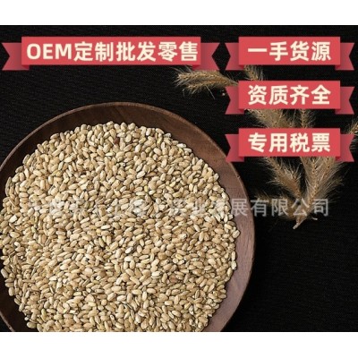 GABA糙米代餐 富含氨基丁酸 高发芽率留胚率 自有专利加工方法