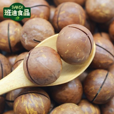 夏威夷果 小果奶香 坚果炒货 干果仁批发 坚果酱/乳 原料 冷饮图3