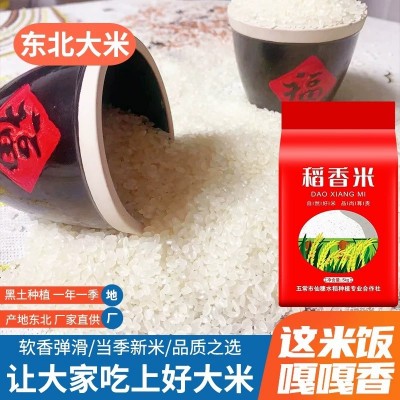 东北稻香米10斤 特产农家新米稻香圆粒煮饭软糯五常香稻新米批发图4