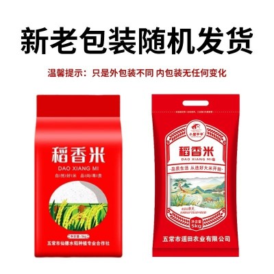 东北稻香米10斤 特产农家新米稻香圆粒煮饭软糯五常香稻新米批发图3