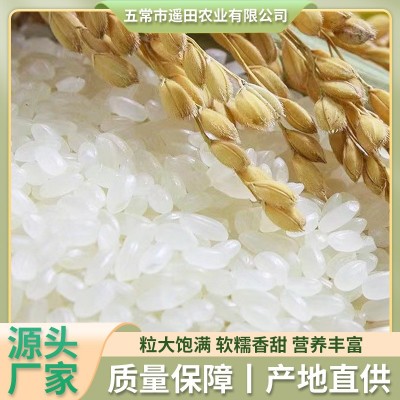 东北稻香米10斤 特产农家新米稻香圆粒煮饭软糯五常香稻新米批发图2