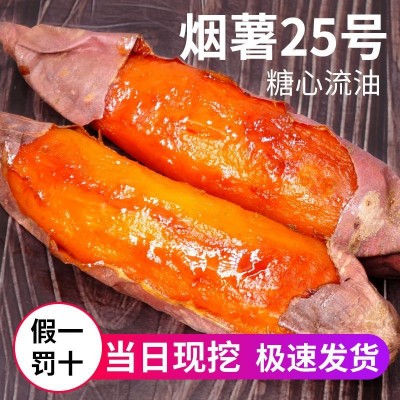 山东烟薯25蜜薯糖心红薯红心流油地瓜新鲜农家沙地山芋烤番薯10斤图5