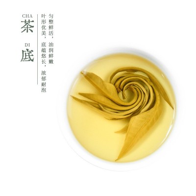 茉莉女儿环茉莉花茶新茶广西横县浓香型茉莉绿茶散装厂家批发茶叶图4